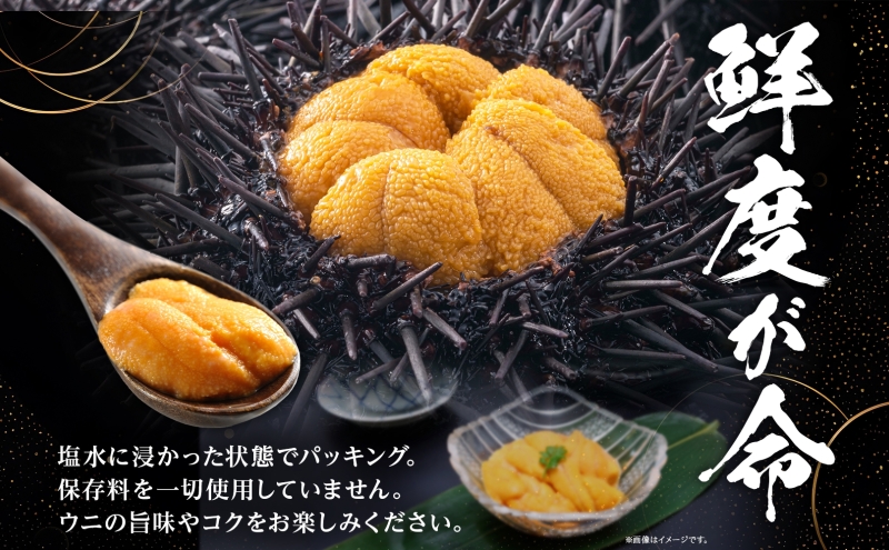 北海道 塩水 ウニ 100g 1パック 1月下旬頃～3月中旬頃まで順次出荷 バフン ムラサキ うに 雲丹 海鮮 ミョウバン不使用 小川商店 