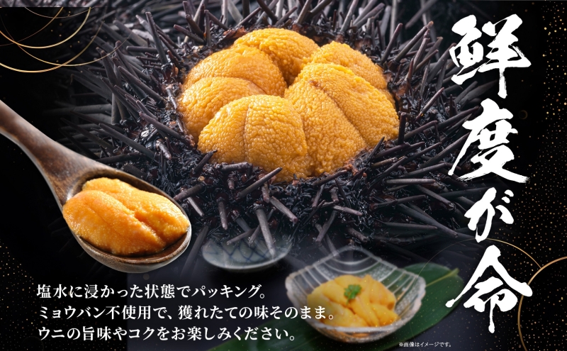 北海道 塩水 ウニ 100g 2パック 1月下旬頃～3月末頃まで順次出荷 バフン ムラサキ うに 雲丹 海鮮 ミョウバン不使用 小川商店