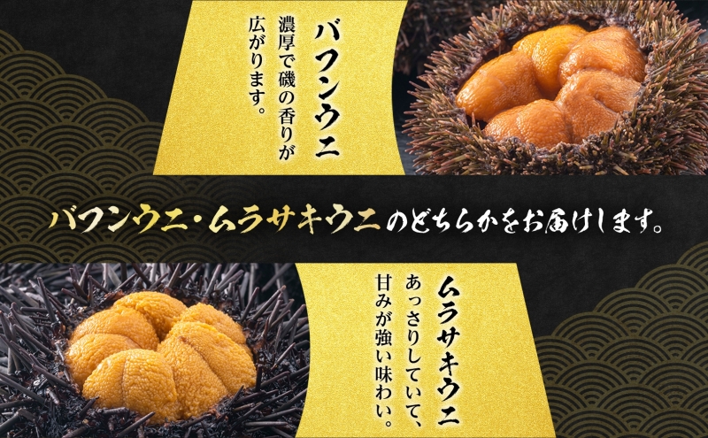 北海道 塩水 ウニ 100g 1パック 1月下旬頃～3月中旬頃まで順次出荷 バフン ムラサキ うに 雲丹 海鮮 ミョウバン不使用 小川商店 