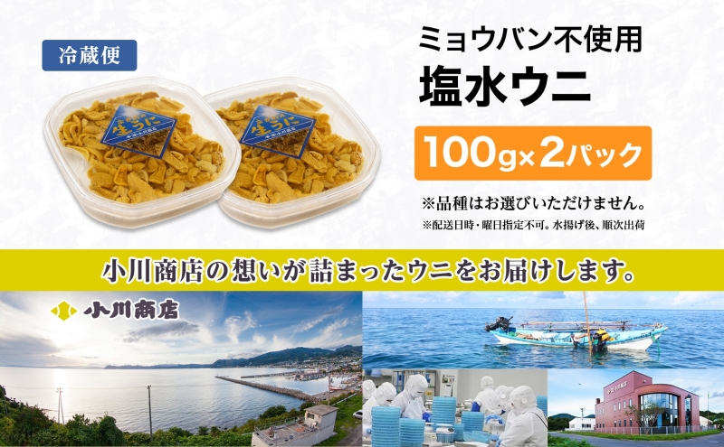 北海道 塩水 ウニ 100g 2パック 1月下旬頃～3月末頃まで順次出荷 バフン ムラサキ うに 雲丹 海鮮 ミョウバン不使用 小川商店