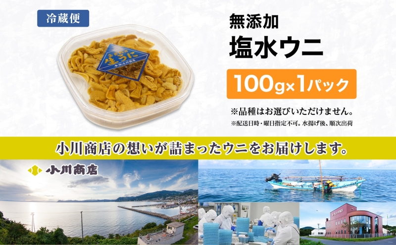 北海道 塩水 ウニ 100g 1パック 1月下旬頃～3月中旬頃まで順次出荷 バフン ムラサキ うに 雲丹 海鮮 ミョウバン不使用 小川商店 