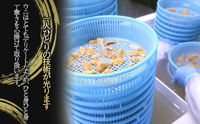 北海道 塩水 ウニ 100g 1パック 1月下旬頃～3月中旬頃まで順次出荷 バフン ムラサキ うに 雲丹 海鮮 ミョウバン不使用 小川商店 