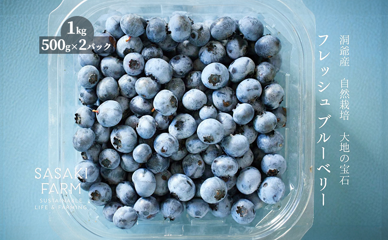 北海道 洞爺湖町産 フレッシュ ブルーベリー 500g 2パック 計1kg 7月25日から順次お届け 北海道産 ブルーベリー 果物 果実 フルーツ 新鮮 国産 ベリー 農作物 お取り寄せ 冷凍 長期 保存 送料無料