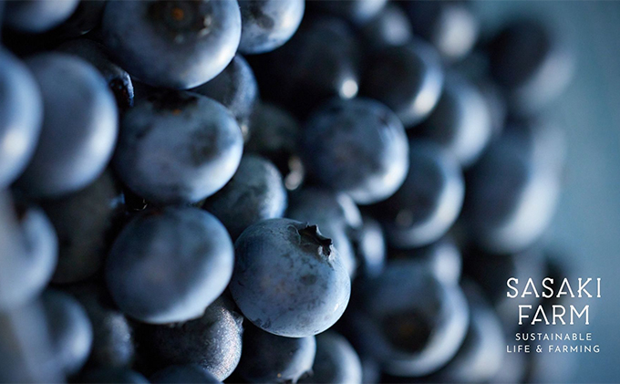 åæµ·é æŽçºæ¹çºç£ ãã¬ãã·ã¥ ãã«ãŒããªãŒ 500g 2ãã㯠èš1kg 7æ20æ¥ããé æ¬¡ãå±ã å
è¡äºçŽ åæµ·éç£ ãã«ãŒããªãŒ æç© æå® ãã«ãŒã æ°é®® åœç£ ããªãŒ 蟲äœç© ãåãå¯ã å·å é·æ ä¿å æŽçºæ¹çº