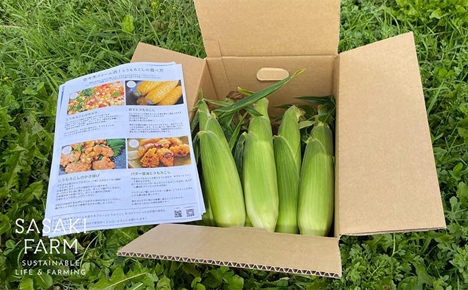 北海道産 とうもろこし 4kg前後 12-14本 8月30日から9月25日まで順次出荷 先行予約 北海道 トウモロコシ とうきび 旬 完熟 朝もぎ 野菜 産地直送 お取り寄せ 佐々木ファーム 洞爺湖