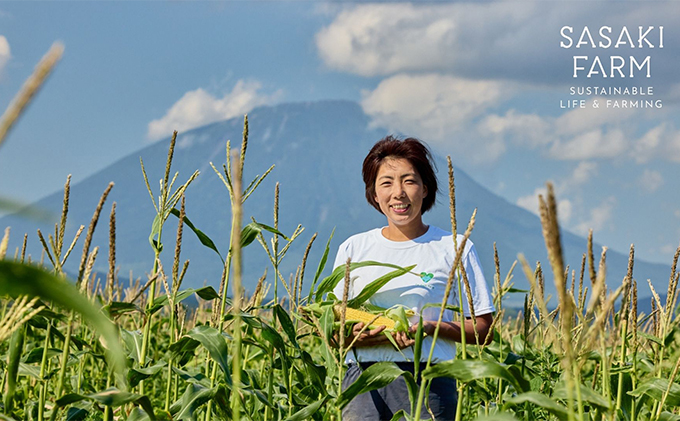 北海道産 とうもろこし 4kg前後 12-14本 8月30日から9月25日まで順次出荷 先行予約 北海道 トウモロコシ とうきび 旬 完熟 朝もぎ 野菜 産地直送 お取り寄せ 佐々木ファーム 洞爺湖