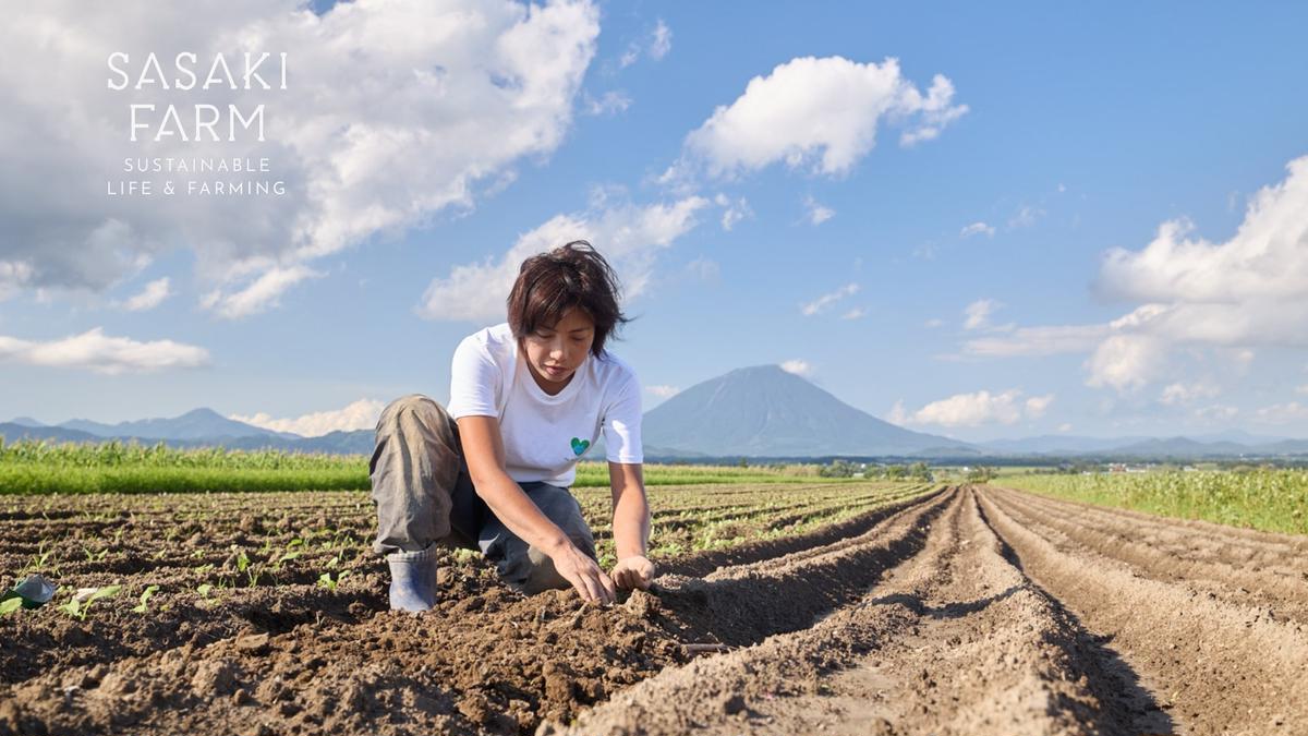 旬の野菜詰め合わせ ～ありがとうBOX2026・中～ 12月1日～1月31日頃お届け 先行予約 北海道 野菜 やさい 詰め合わせ セット 北海道産 常備菜 加工品 自然栽培 佐々木ファーム 産地直送 洞爺湖町