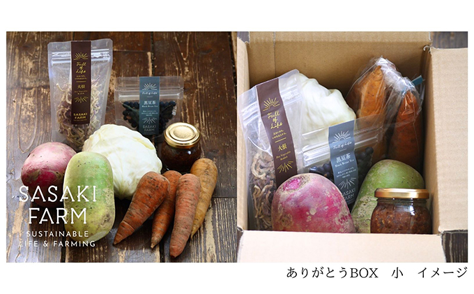 旬の野菜詰め合わせ ～ありがとうBOX2026・小～ 12月1日～1月31日頃お届け 先行予約 北海道 野菜 やさい 詰め合わせ セット 北海道産 常備菜 加工品 自然栽培 佐々木ファーム 産地直送 洞爺湖町