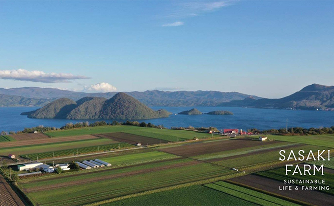 旬の野菜詰め合わせ ～ありがとうBOX2026・小～ 12月1日～1月31日頃お届け 先行予約 北海道 野菜 やさい 詰め合わせ セット 北海道産 常備菜 加工品 自然栽培 佐々木ファーム 産地直送 洞爺湖町