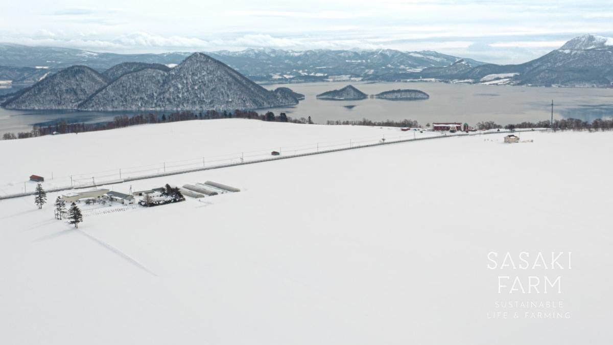 旬の野菜詰め合わせ ～ありがとうBOX2026・小～ 12月1日～1月31日頃お届け 先行予約 北海道 野菜 やさい 詰め合わせ セット 北海道産 常備菜 加工品 自然栽培 佐々木ファーム 産地直送 洞爺湖町