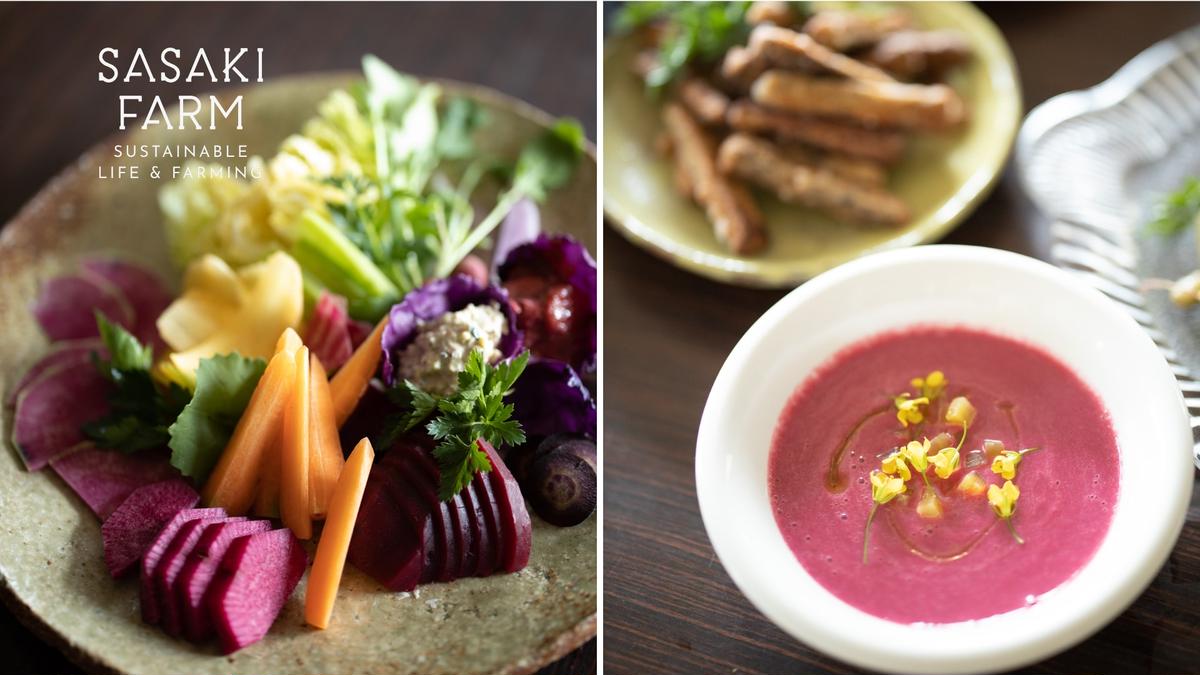 [3回お届け 5月・7月・9月 定期便]〈自然栽培〉佐々木ファーム 旬の野菜詰め合わせ ～循環セット～ 厳選野菜7-10品目程度 先行予約 やさい 直送 北海道 洞爺湖町 野菜の詰め合わせ 北海道産 