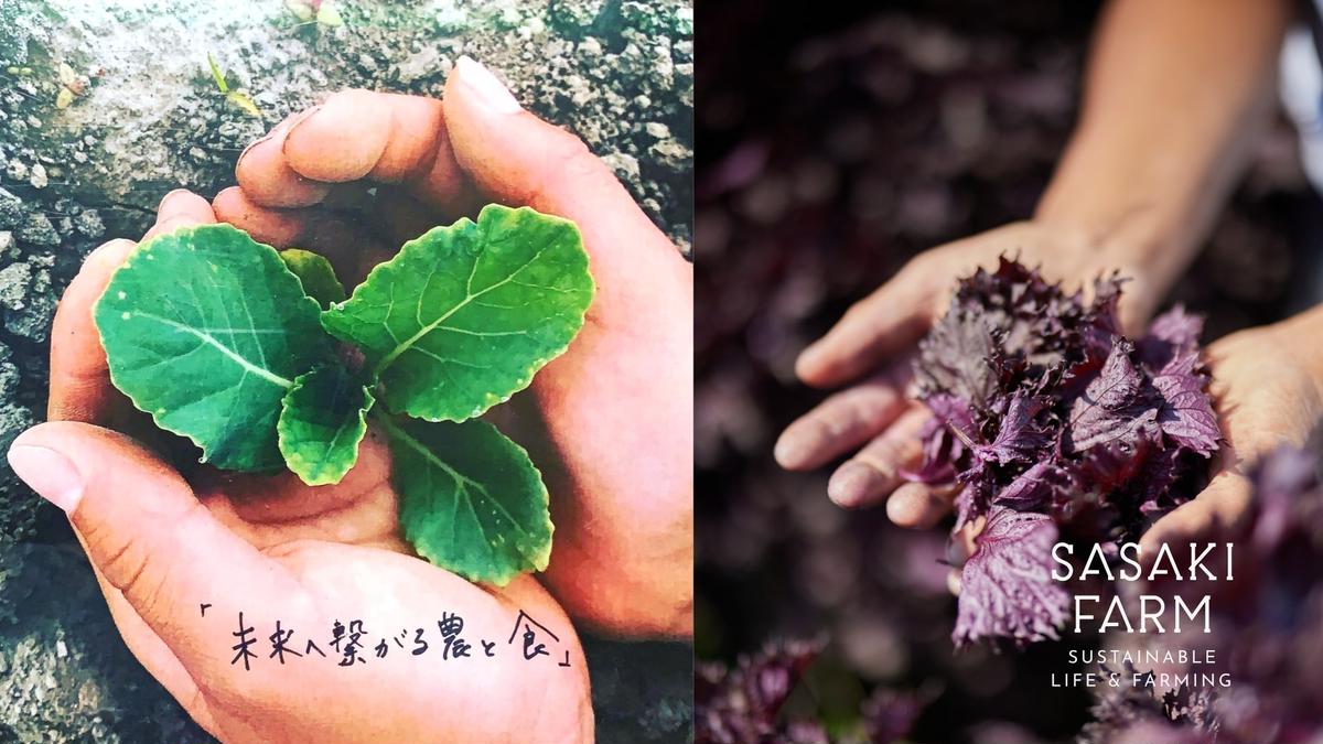 旬の野菜詰め合わせ ～ありがとうBOX2026・小～ 12月1日～1月31日頃お届け 先行予約 北海道 野菜 やさい 詰め合わせ セット 北海道産 常備菜 加工品 自然栽培 佐々木ファーム 産地直送 洞爺湖町