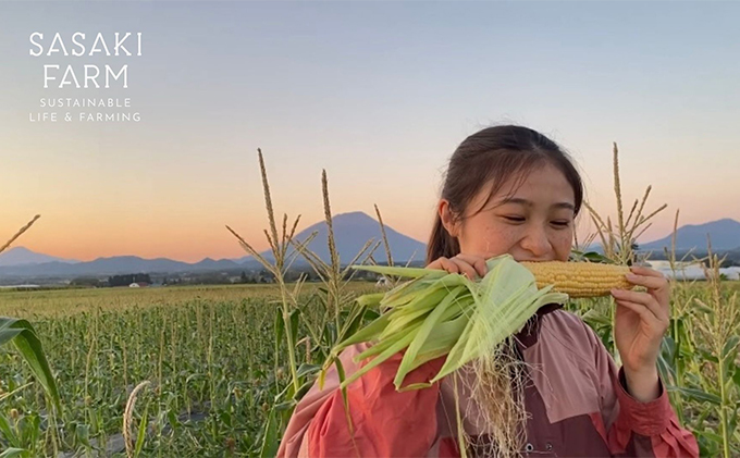 北海道産 とうもろこし 4kg前後 12-14本 8月30日から9月25日まで順次出荷 先行予約 北海道 トウモロコシ とうきび 旬 完熟 朝もぎ 野菜 産地直送 お取り寄せ 佐々木ファーム 洞爺湖
