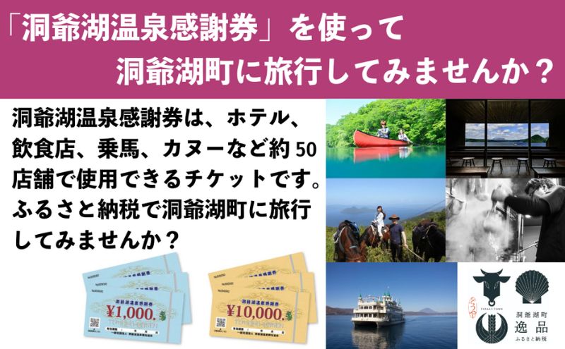 洞爺湖温泉感謝券 30000円 分 金券 クーポン 洞爺湖 湖 温泉 リゾート 有珠山 火山 自然 花火 イルミネーション 旅行 観光 宿泊 施設 北海道 ふるさと納税 絶景 旅 体験 