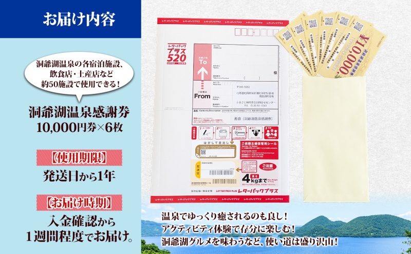 洞爺湖温泉感謝券 60000円 分 金券 クーポン 洞爺湖 湖 温泉 リゾート 有珠山 火山 自然 花火 イルミネーション 旅行 観光 宿泊 施設 北海道