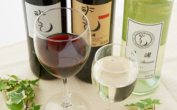月浦ワイン3本セット（白・赤・樽赤750ml）