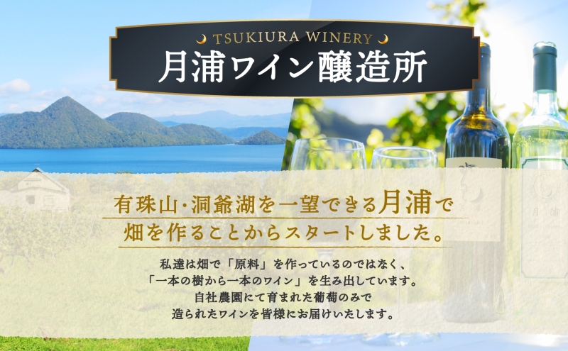 北海道 月浦ワイン 赤 750ml×2本 ドルンフェルダー 赤ワインお酒 アルコール ブドウ酒 自社農園 家飲み お祝い 記念日 贈答用 ギフト 月浦ワイナリー 送料無料