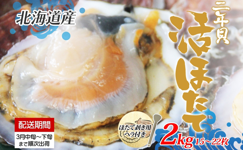 北海道産 活ほたて 2年貝 約 2kg 15枚～22枚 2026年3月中旬～3月下旬頃お届け 殻付き 帆立 ホタテ ほたて 貝 魚介 海産 海鮮 貝柱 噴火湾 刺身 焼き フライ 生産者支援 産地直送 送料無料 北海道