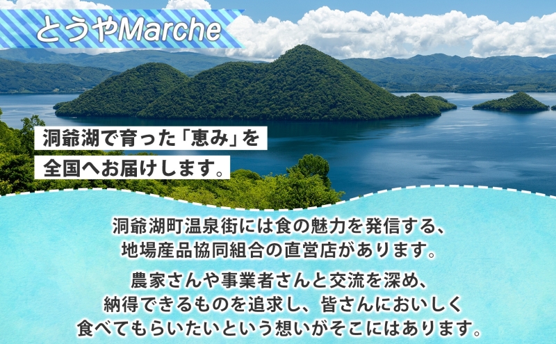 北海道産 活ほたて 2年貝 約 2kg 15枚～22枚 2025年3月中旬～3月下旬頃お届け 殻付き 帆立 ホタテ ほたて 貝 魚介 海産 海鮮 貝柱 噴火湾 刺身 焼き フライ 生産者支援 産地直送 送料無料 北海道