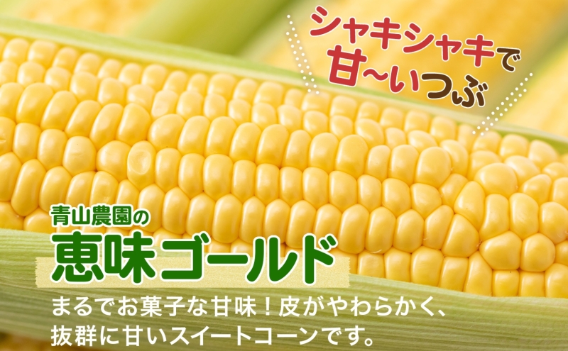 北海道 月浦 めぐみ ゴールド 5kg  先行受付 8月下旬～9月中旬頃にお届け とうもろこしトウモロコシ とうきび 恵味 スイート コーン 旬 野菜 甘い 大粒 人気 朝採り 産地直送 青山農園 送料無料 洞爺湖