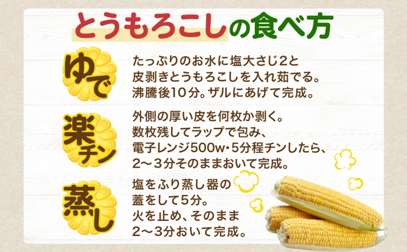 北海道 月浦 めぐみ ゴールド 5kg  先行受付 8月下旬～9月中旬頃にお届け とうもろこしトウモロコシ とうきび 恵味 スイート コーン 旬 野菜 甘い 大粒 人気 朝採り 産地直送 青山農園 送料無料 洞爺湖