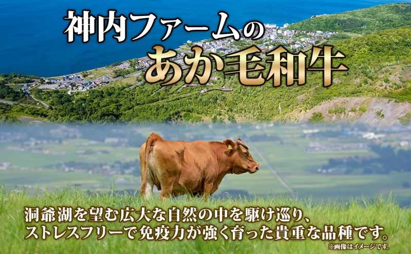  北海道 あか牛 焼肉用 低温熟成肉 4部位 食べ比べ セット 計650g うちもも いちぼ ランプ しんたま 牛肉 和牛 焼肉 BBQ 赤身 コク 柔らかい ジューシー ヘルシー 冷凍 小分け 産地直送 洞爺湖地場産品協同組合 送料無料 洞爺湖 