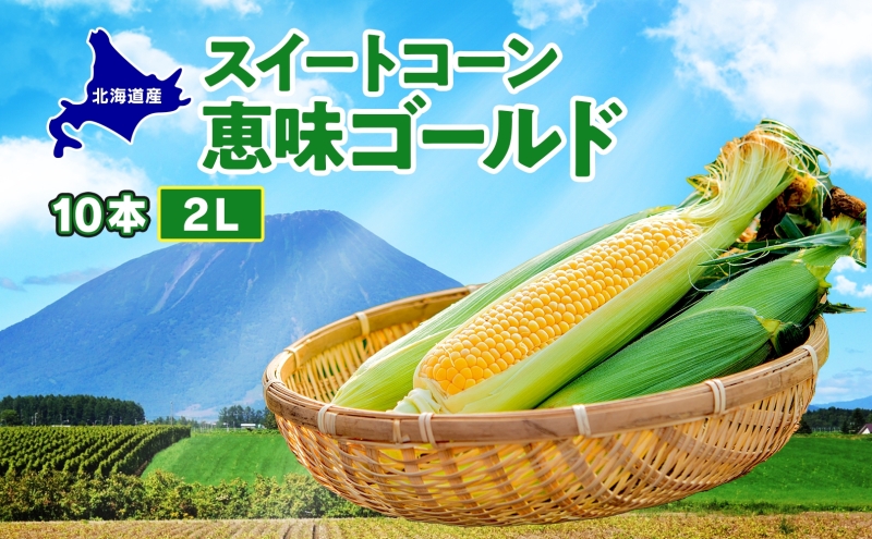  北海道産 スイート コーン めぐみゴールド 2Lサイズ 10本 8月中旬～末頃にお届け とうもろこし 恵味 めぐみ トウモロコシ 旬 完熟 朝もぎ 野菜 産地直送 お取り寄せ 北海道 丸田農園 送料無料 洞爺湖