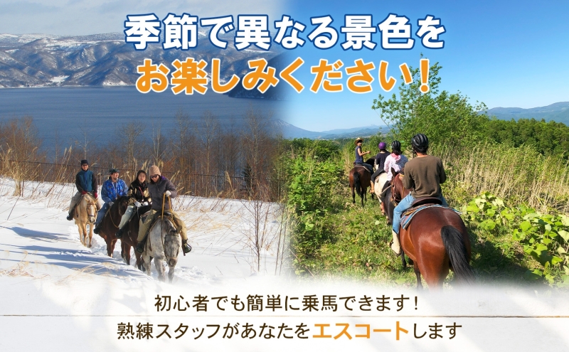 北海道 ファミリートレッキング＆Winterファミリートレッキング 乗馬 体験 約35分 ホース トレッキング 絶景 自然 貴重 体験 経験 景色 ふれあい 血統馬 初心者 本格的 お子様 大人 レイクトーヤランチ 洞爺湖