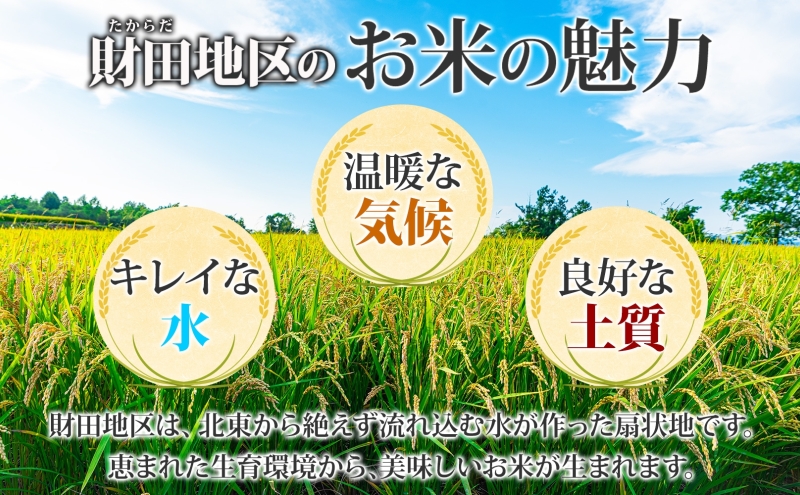 北海道 洞爺湖温泉 財田米の甘酒 180g 10本 小瓶 甘酒 財田産 財田米 北海道産 米麹 ノンアルコール 無添加 砂糖不使用 観光 ご当地 老舗 岡田屋 お取り寄せ プレゼント 贈答品 送料無料 洞爺湖