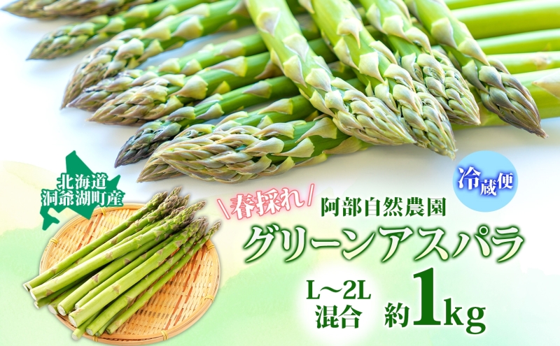 åæµ·é æŽçºæ¹çºç£ ã°ãªãŒã³ã¢ã¹ãã© çŽ1kg Lïœ2Læ··å 5æäžæ¬é ãå±ã 2026 å
è¡åä» è·¯å° ã¢ã¹ãã© ã¢ã¹ãã©ã¬ã¹ éè 蟲äœç© ãµã©ã 倩ã·ã æ°é®® åœç£ äººæ° ãåå¯ã ç£å°çŽé å·èµ æŽçºæ¹