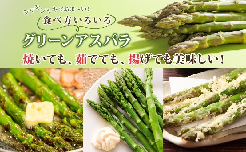 åæµ·é æŽçºæ¹çºç£ ã°ãªãŒã³ã¢ã¹ãã© çŽ1kg Lïœ2Læ··å 5æäžæ¬é ãå±ã 2026 å
è¡åä» è·¯å° ã¢ã¹ãã© ã¢ã¹ãã©ã¬ã¹ éè 蟲äœç© ãµã©ã 倩ã·ã æ°é®® åœç£ äººæ° ãåå¯ã ç£å°çŽé å·èµ æŽçºæ¹