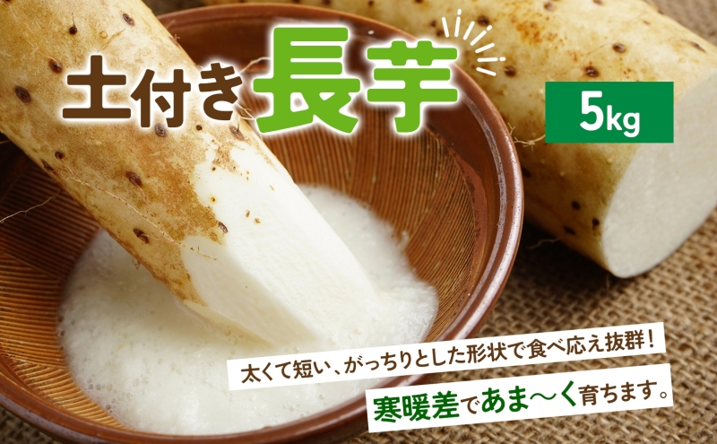 数量限定 根菜3種セット 計8.6kg 土付き 長芋 5kg 土付き ごぼう 1.8kg じゃがいも 1.8kg 先行予約 2026年11月下旬～12月下旬までのお届け 野菜 詰め合わせ 根菜 常温 青野農園 北海道 洞爺湖町
