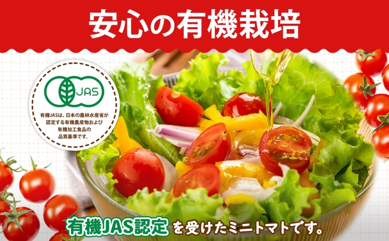  北海道 有機JAS認定 ミニトマト みわた 150g×8パック 先行予約 2025年 7月中旬～9月上旬頃にお届け 先行受付 有機栽培 新鮮 旬 野菜 安心 安全 濃厚 トマト 産地直送 農家直送 