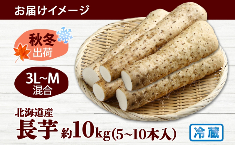 北海道産 長いも 秋冬出荷 約10kg 2025年11月中旬～2026年3月下旬お