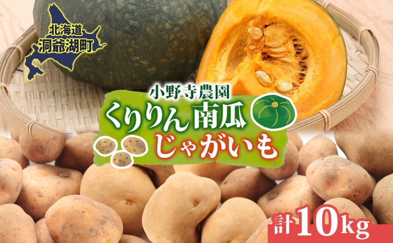 R8年産 先行受付 南瓜 くりりん じゃがいも 計10kg 2026年9月下旬よりお届け ホクホク 甘い 栗 ホクホク 産地直送 お取り寄せ 国産 小野寺農園 北海道 洞爺湖町