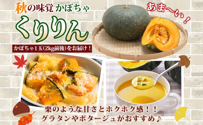 R8年産 先行受付 南瓜 くりりん じゃがいも 計10kg 2026年9月下旬よりお届け ホクホク 甘い 栗 ホクホク 産地直送 お取り寄せ 国産 小野寺農園 北海道 洞爺湖町