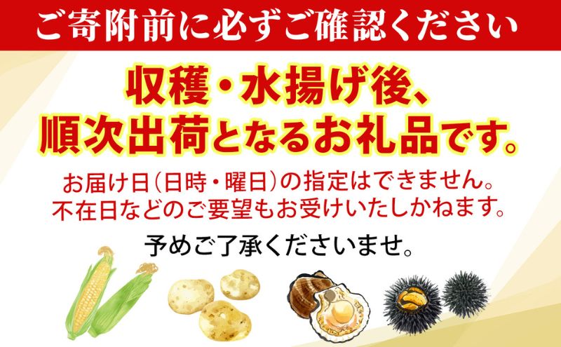 R8年産 先行受付 じゃがいも とうや 10kg 2026年9月下旬より順次出荷 ホクホク 甘い ポテトサラダ コロッケ 産地直送 お取り寄せ 国産 小野寺農園 北海道 洞爺湖町