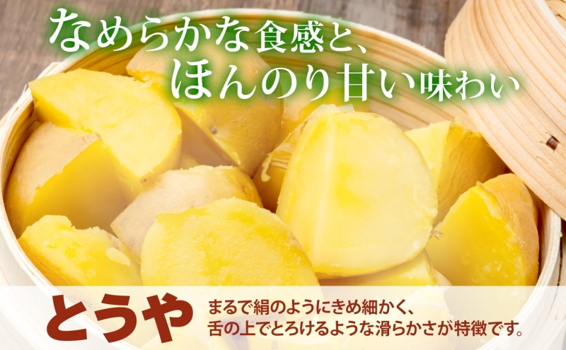北海道 洞爺湖町産 新じゃがいも とうや 約20kg  Mサイズ以上混載 2026年10月初旬より順次出荷 北海道産 新じゃが じゃがいも いも ジャガイモ 馬鈴薯 黄爵 芋 旬 野菜 農作物 送料無料 産地直送 常温 洞爺湖町 