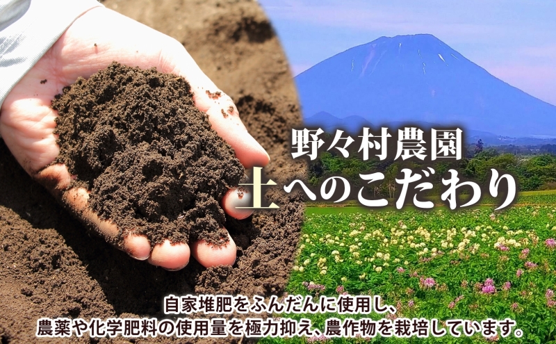 北海道 洞爺湖町産 新じゃがいも とうや 約20kg  Mサイズ以上混載 2026年10月初旬より順次出荷 北海道産 新じゃが じゃがいも いも ジャガイモ 馬鈴薯 黄爵 芋 旬 野菜 農作物 送料無料 産地直送 常温 洞爺湖町 