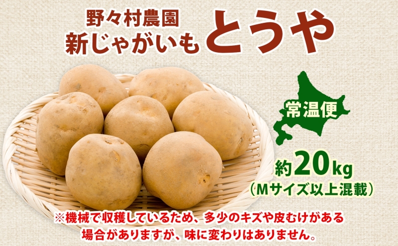 北海道 洞爺湖町産 新じゃがいも とうや 約20kg  Mサイズ以上混載 2026年10月初旬より順次出荷 北海道産 新じゃが じゃがいも いも ジャガイモ 馬鈴薯 黄爵 芋 旬 野菜 農作物 送料無料 産地直送 常温 洞爺湖町 