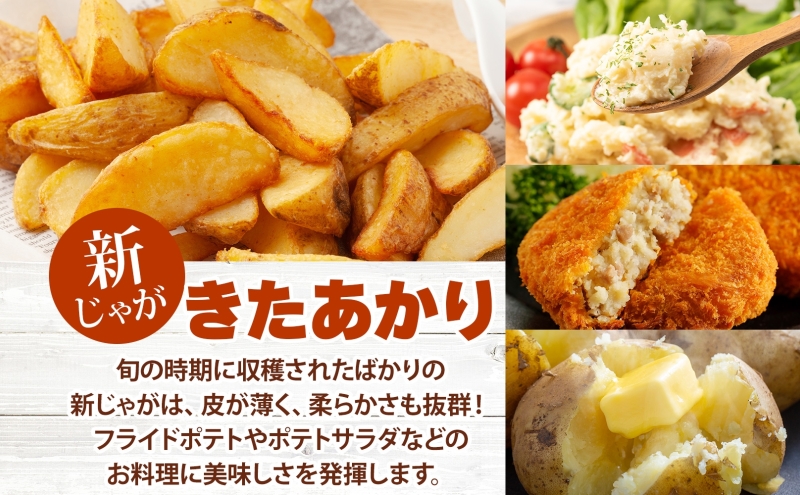 åæµ·é æŽçºæ¹çºç£ æ°ããããã ããããã çŽ10kg Mãµã€ãºä»¥äžæ··èŒ 2026幎10æåæ¬ããé æ¬¡åºè· åæµ·éç£ æ°ããã ããããã ãžã£ã¬ã€ã¢ 銬éŽè¯ æ¬ éè 蟲äœç© éæç¡æ ç£å°çŽé åžžæž© æŽçºæ¹çº