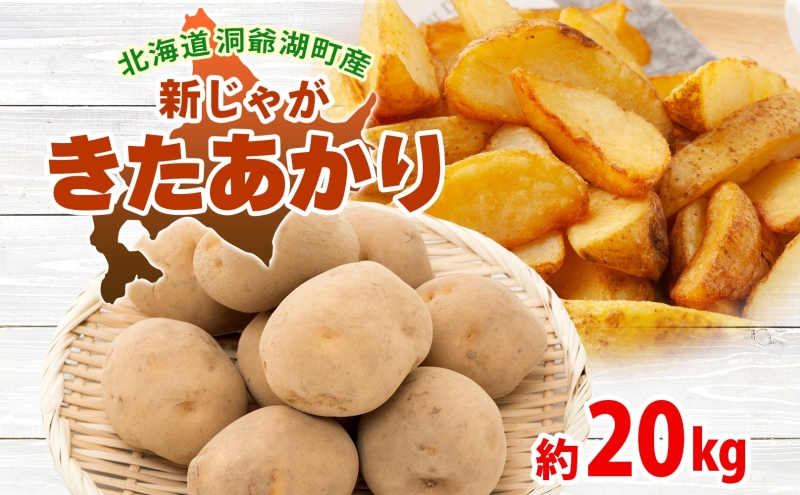北海道 洞爺湖町産 新じゃがいも きたあかり 約20kg  Mサイズ以上混載 2026年10月初旬より順次出荷 北海道産 新じゃが じゃがいも いも ジャガイモ 馬鈴薯 黄爵 芋 旬 野菜 農作物 産地直送 常温 洞爺湖町