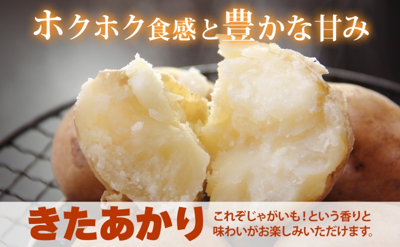 北海道 洞爺湖町産 新じゃがいも きたあかり 約20kg  Mサイズ以上混載 2026年10月初旬より順次出荷 北海道産 新じゃが じゃがいも いも ジャガイモ 馬鈴薯 黄爵 芋 旬 野菜 農作物 産地直送 常温 洞爺湖町