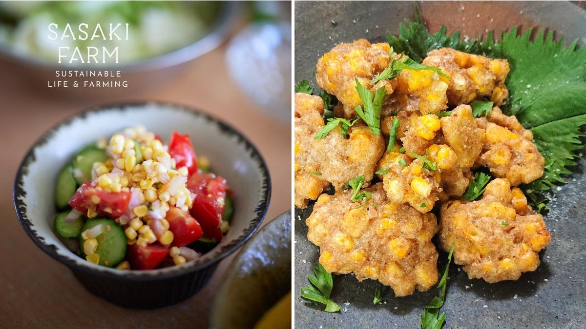 北海道産 とうもろこし 4kg前後 12-14本 8月30日から9月25日まで順次出荷 先行予約 北海道 トウモロコシ とうきび 旬 完熟 朝もぎ 野菜 産地直送 お取り寄せ 佐々木ファーム 洞爺湖