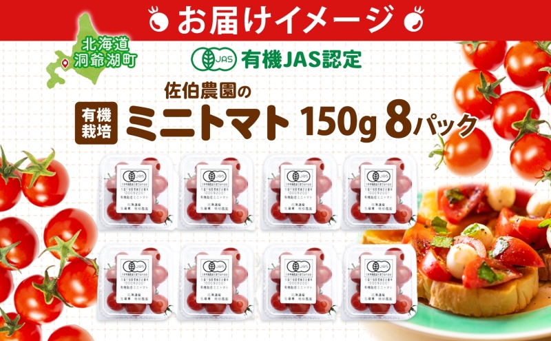 北海道 有機JAS認定 ミニトマト ダルタリー 150g×8パック 7月中旬～9月上旬頃にお届け 有機栽培 新鮮 旬 野菜 安心 安全 完熟 高糖度 濃厚 トマト 産地直送 農家直送 佐伯農園 送料無料 洞爺湖
