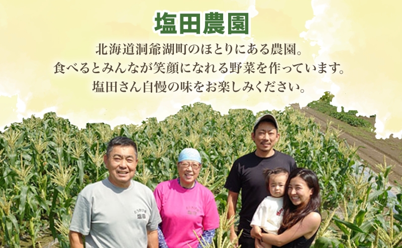 北海道 洞爺湖町産 春掘り 長芋 約5kg 先行受付 4月中旬～下旬にお届け 長いも ながいも 芋 山芋 山うなぎ とろろ ステーキ 千切り 万能 旬 秋 野菜 根菜 常温 塩田農園 洞爺湖町 