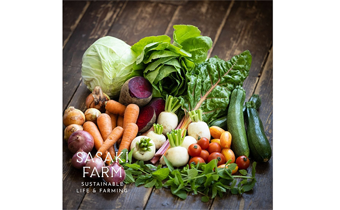 [3回お届け 5月・7月・9月 定期便]〈自然栽培〉佐々木ファーム 旬の野菜詰め合わせ ～循環セット～ 厳選野菜7-10品目程度 先行予約 やさい 直送 北海道 洞爺湖町 野菜の詰め合わせ 北海道産 