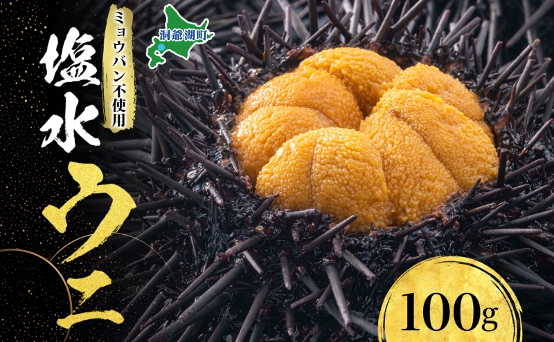 ミョウバン不使用 塩水 ウニ100g 1パック 7月下旬頃までお届け キタムラサキウニ うに ウニ 雲丹 ムラサキウニ 魚貝 魚介 海鮮 海産 小川商店 送料無料 北海道 洞爺湖