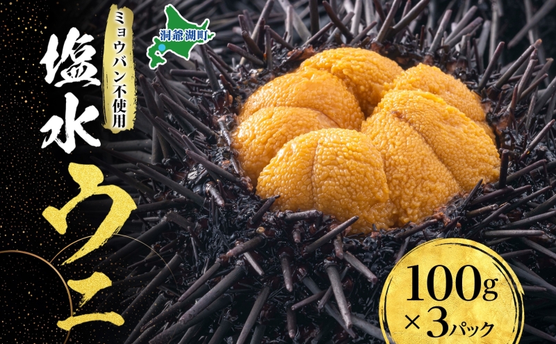 ミョウバン不使用 塩水 ウニ100g 3パック 7月下旬頃までお届け キタムラサキウニ うに ウニ 雲丹 ムラサキウニ 魚貝 魚介 海鮮 海産 小川商店 送料無料 北海道 洞爺湖