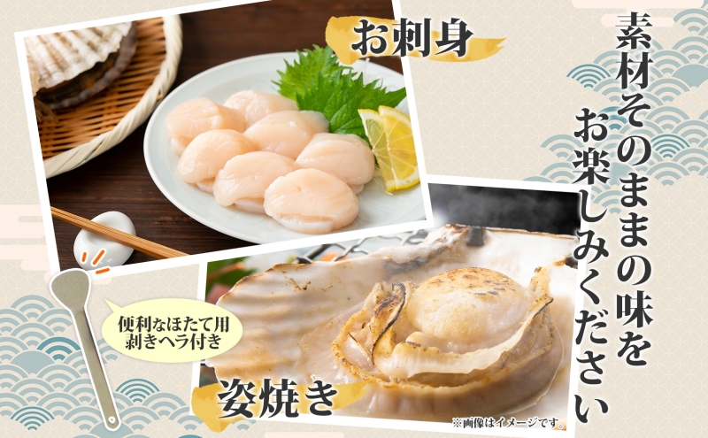 北海道産 活ほたて 2年貝 約 2kg 15枚～22枚 2026年1月中旬～2月上旬頃お届け 殻付き 貝付き 帆立 ホタテ ほたて 貝 魚介 海産 海鮮 貝柱 噴火湾 刺身 焼き フライ 生産者支援 産地直送 送料無料 魚介類 魚貝類 